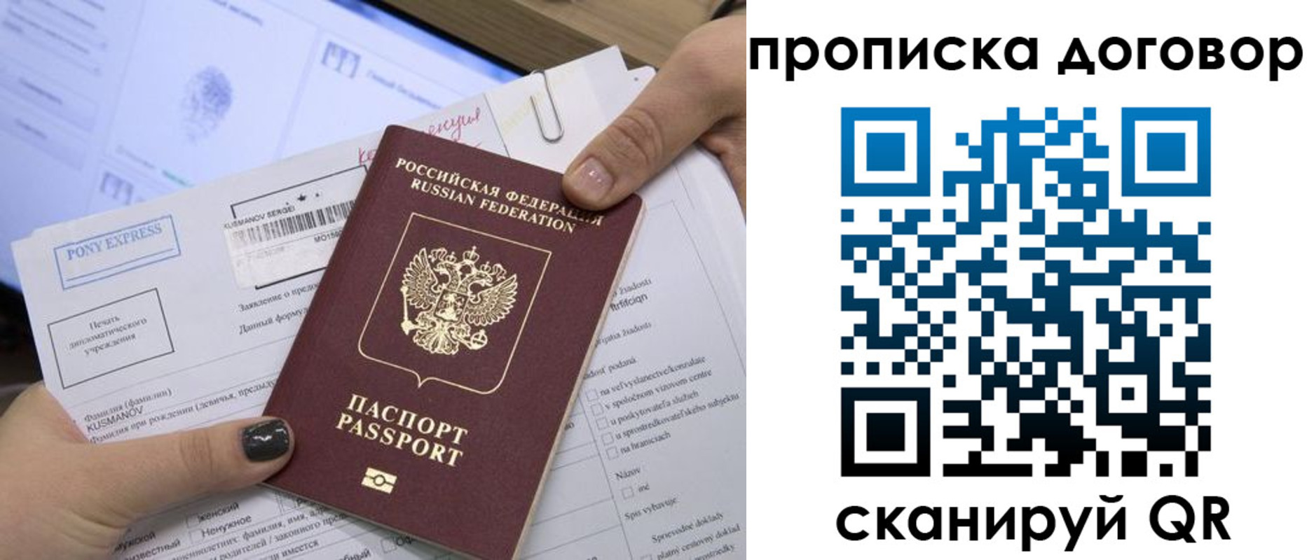 прописка гарантия в Пионерском