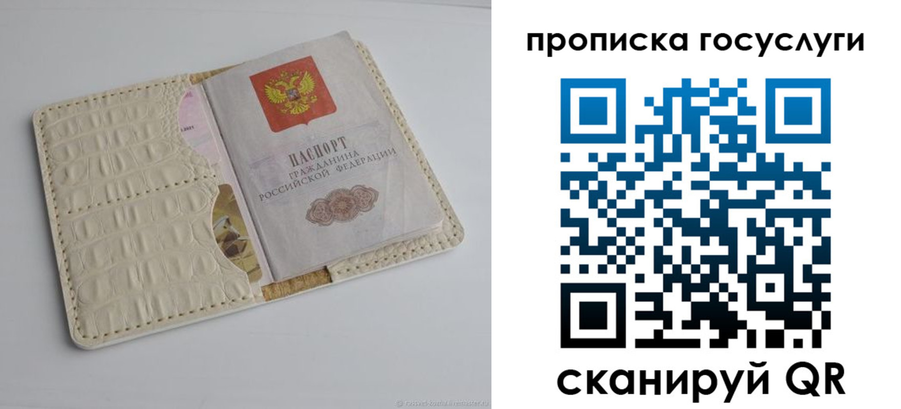 прописка законно в Пионерском